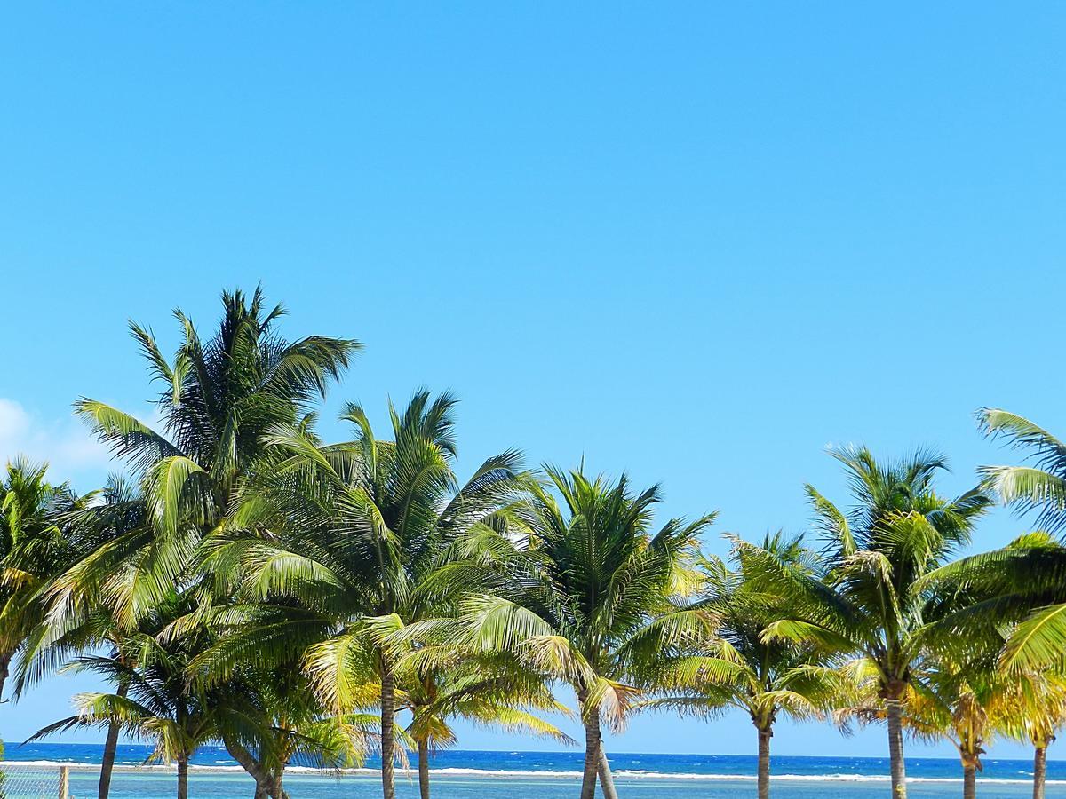 Palmeras De Mahahual Cabanas Екстер'єр фото