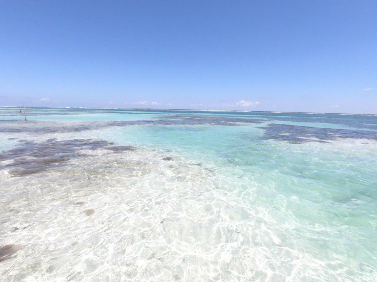 Palmeras De Mahahual Cabanas Екстер'єр фото